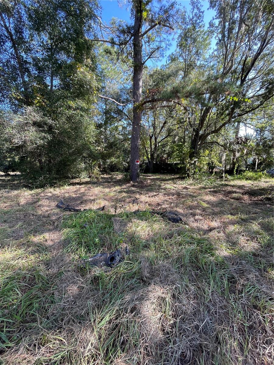 2330 E University Ave Property Photo 16