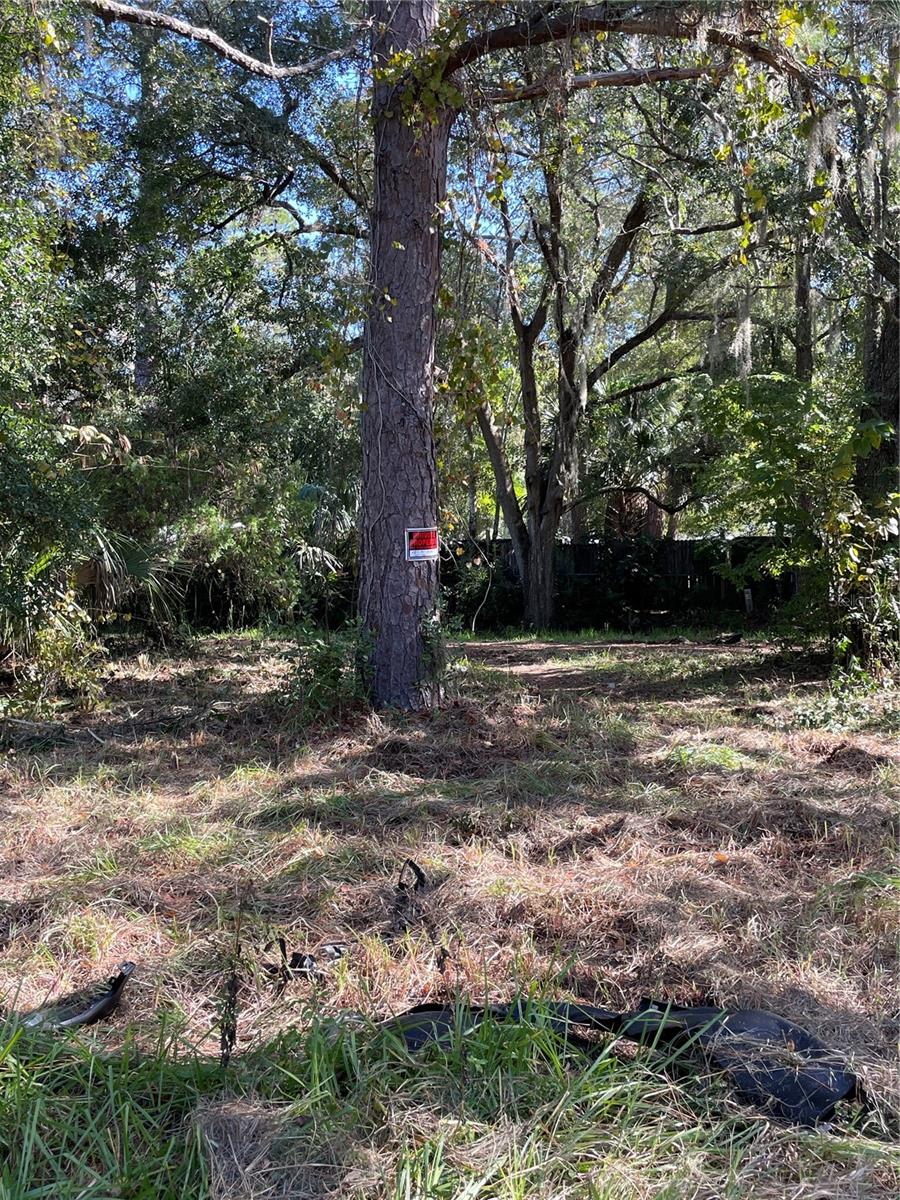2330 E University Ave Property Photo 18