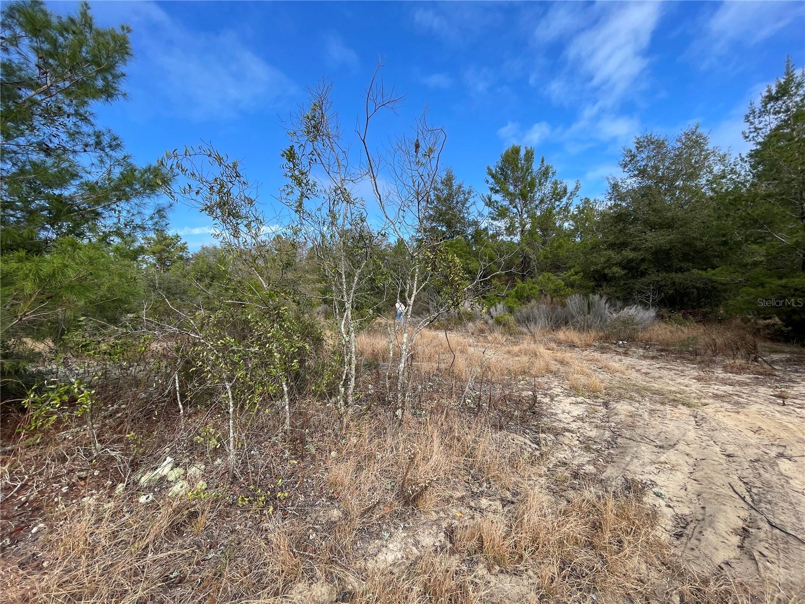 State Road 20 Property Photo 3