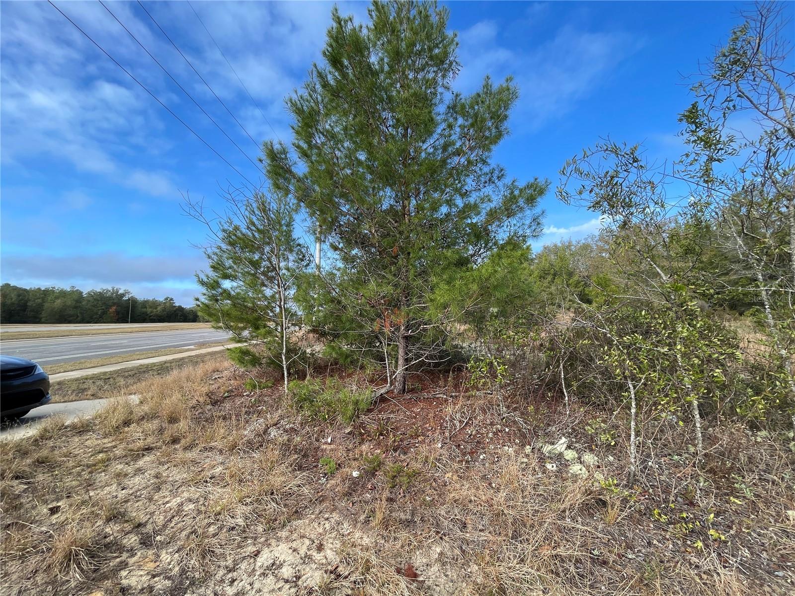 State Road 20 Property Photo 4