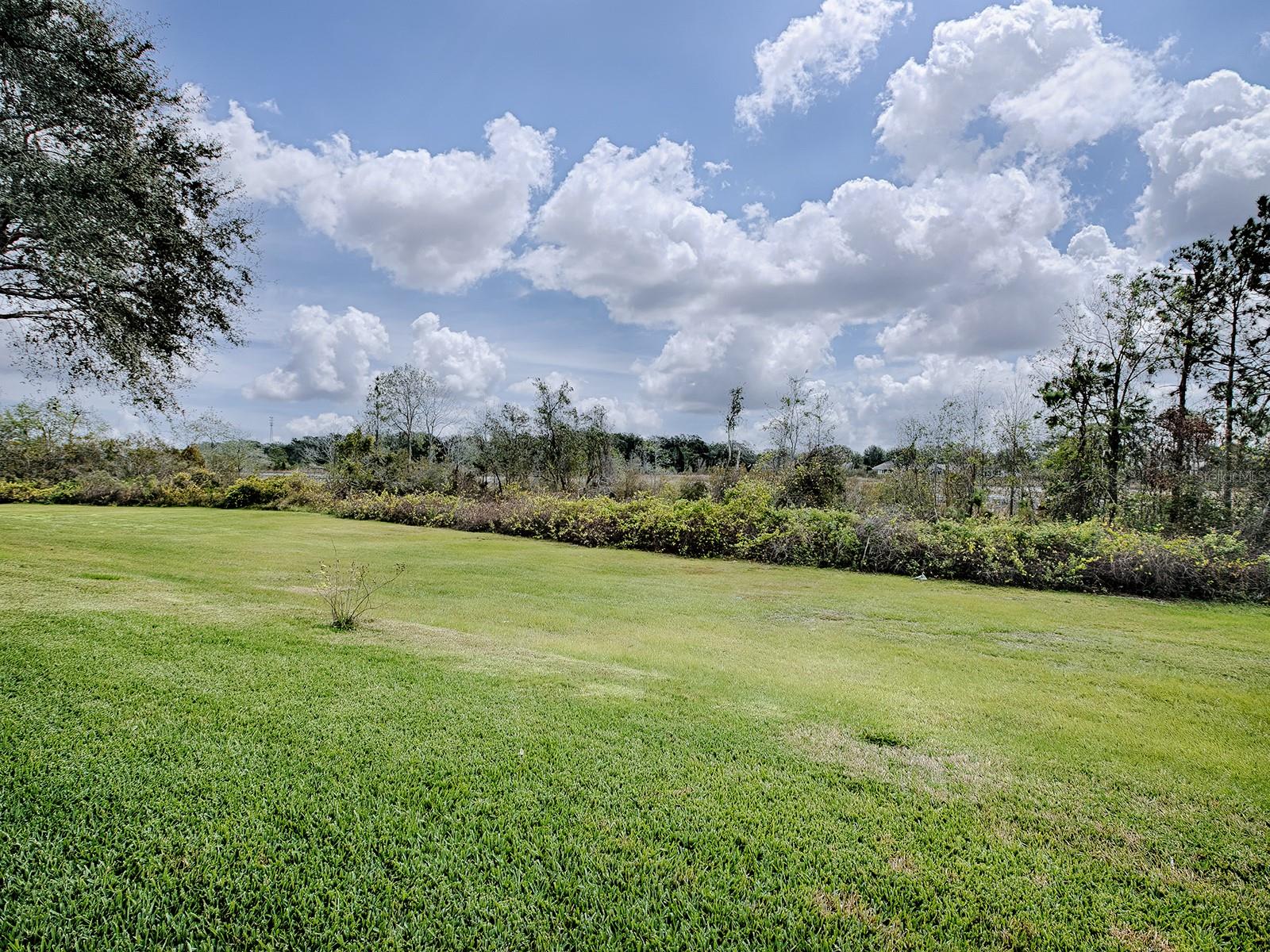 5626 Squires Dr Property Photo 44