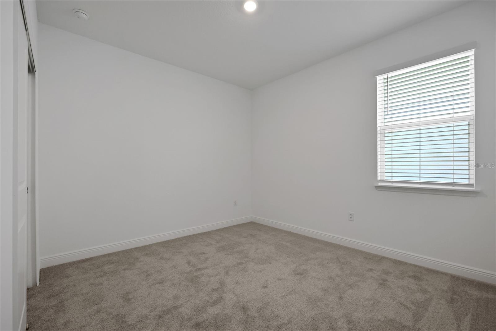 5095 Firebush Dr Property Photo 25