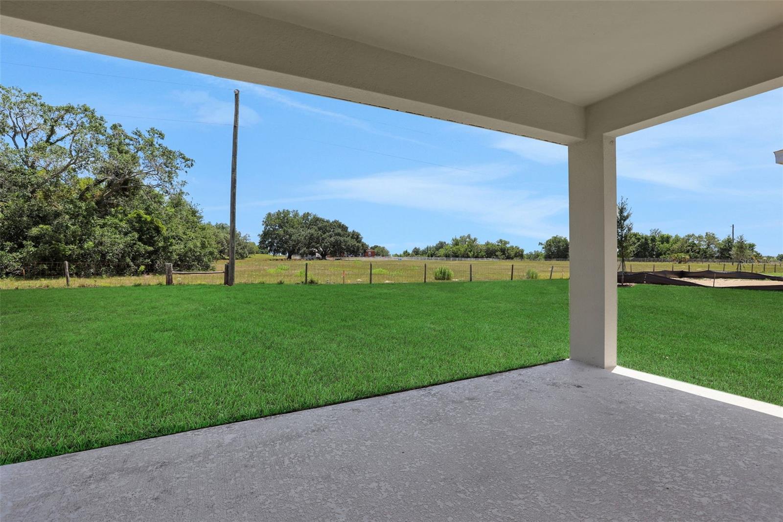 5131 Firebush Dr Property Photo 6