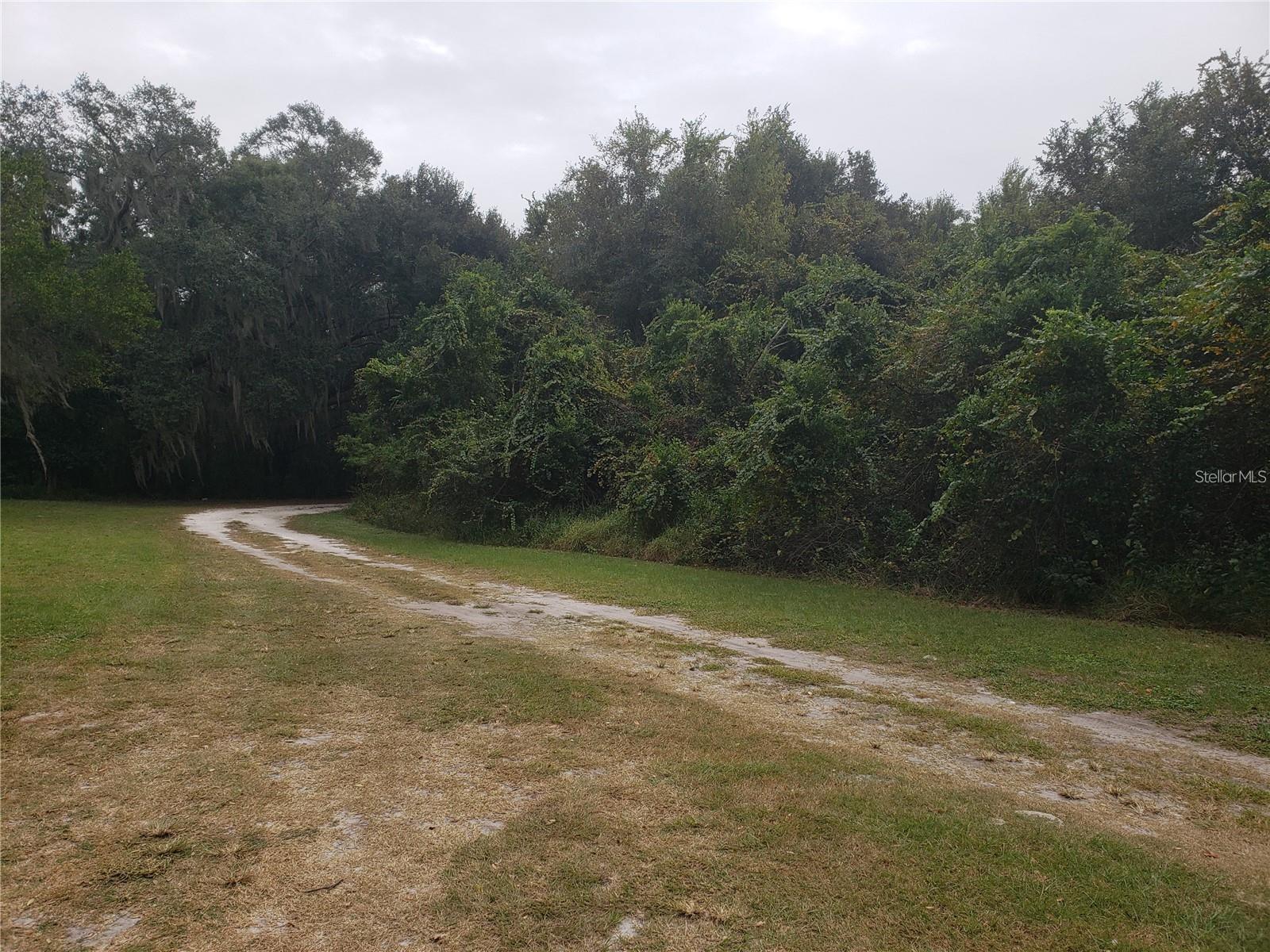 16451 Forrest Ln Property Photo 3