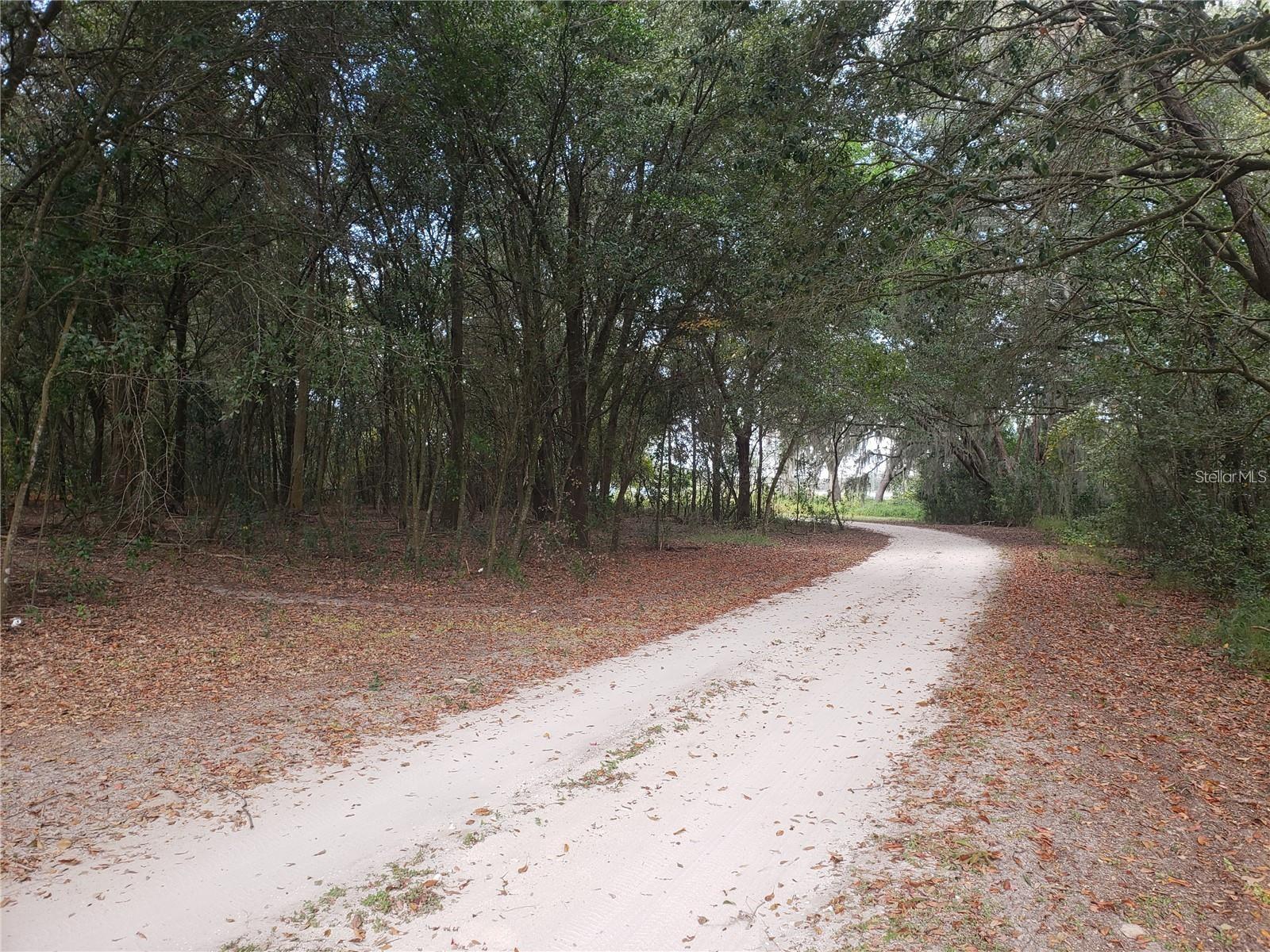 16451 Forrest Ln Property Photo 5