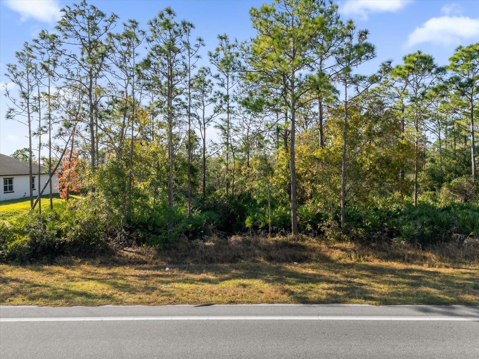 Lot 13 Dallas Blvd Property Photo 2