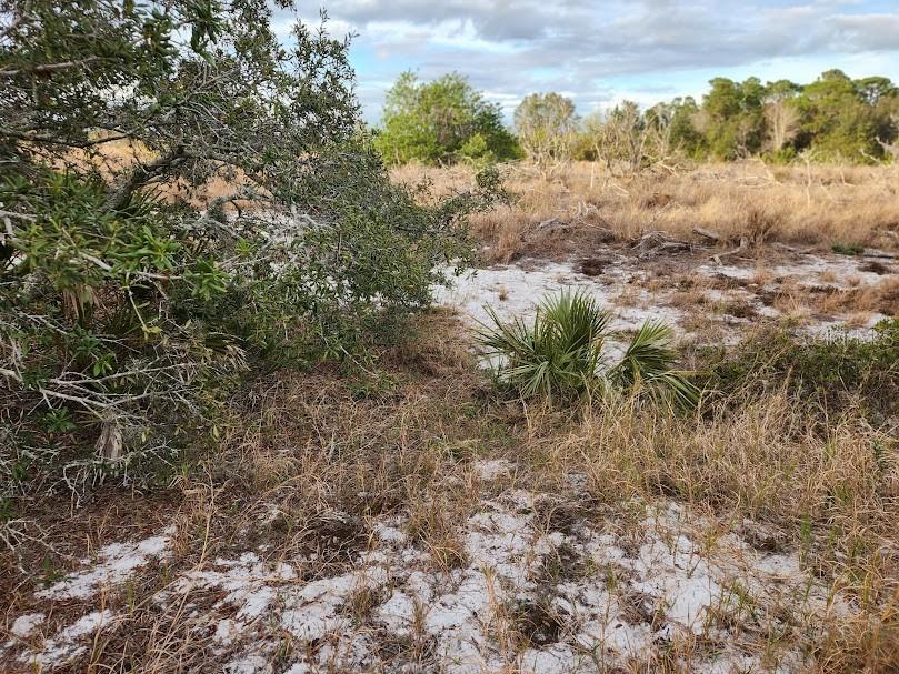 W Frostproof Rd Property Photo 6