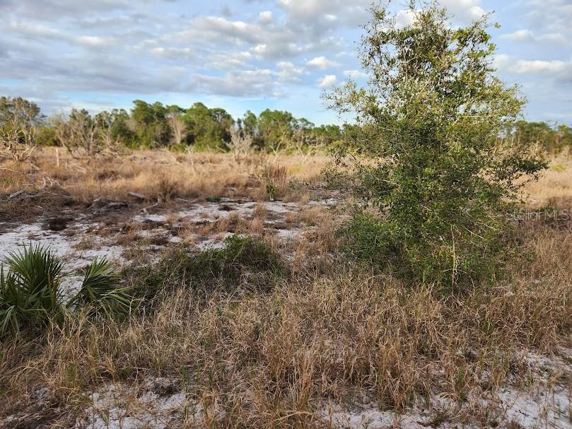 W Frostproof Rd Property Photo 16
