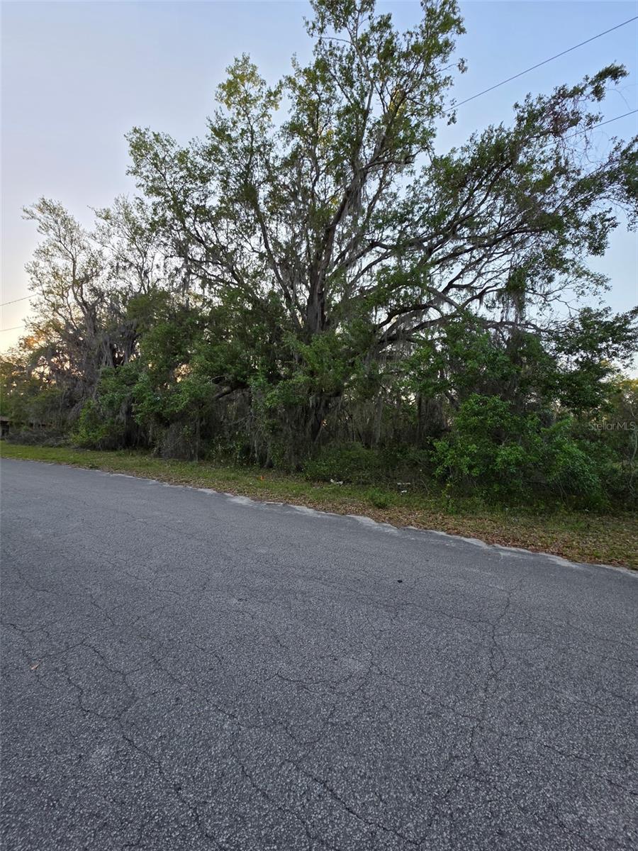 N Quarters Rd Property Photo 4