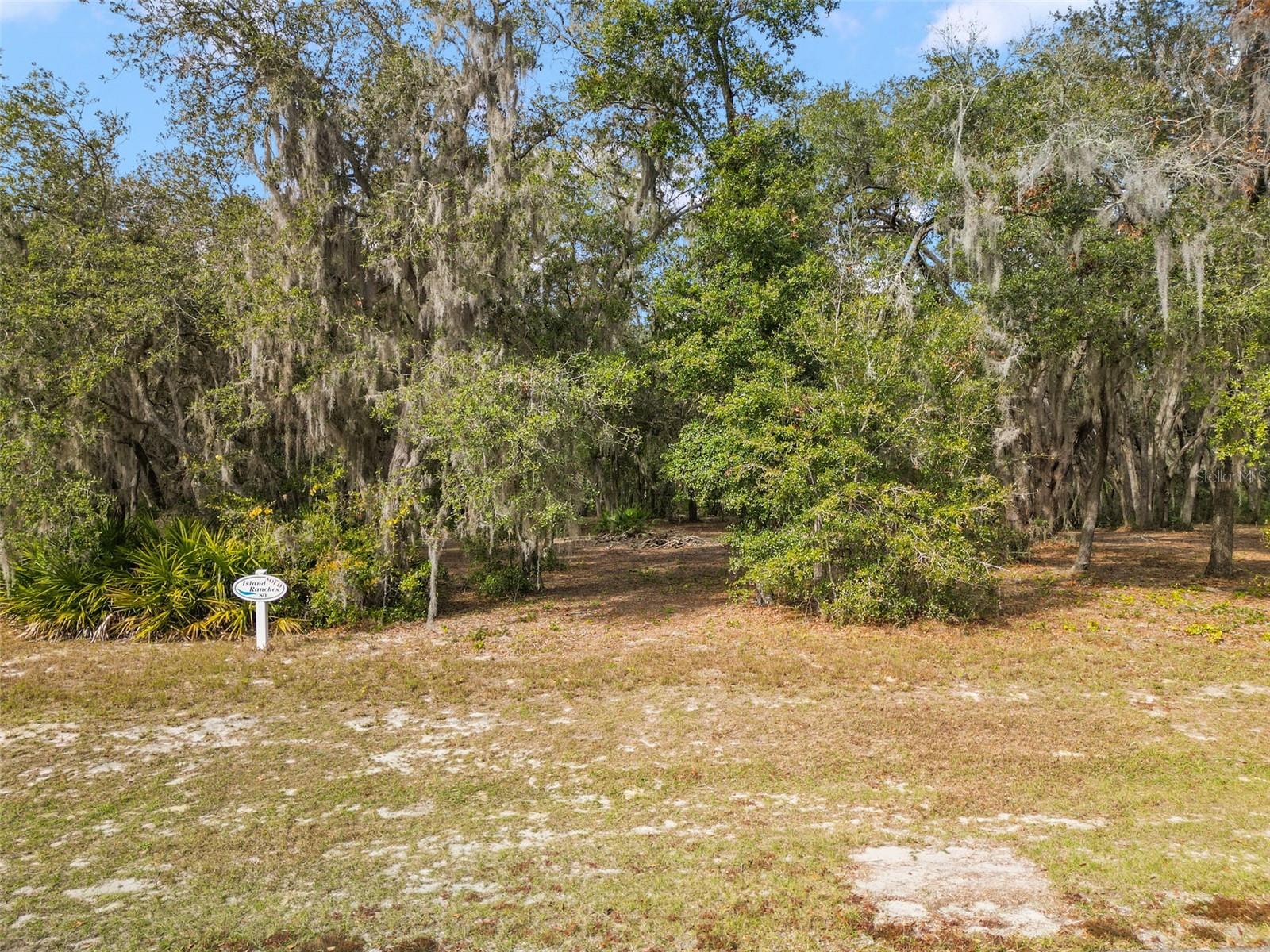 3163 Bright Lake Cir Property Photo 4