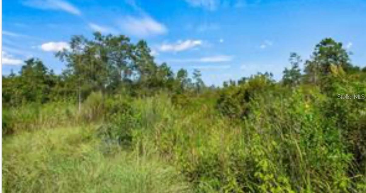 Oil Well Rd Property Photo 4