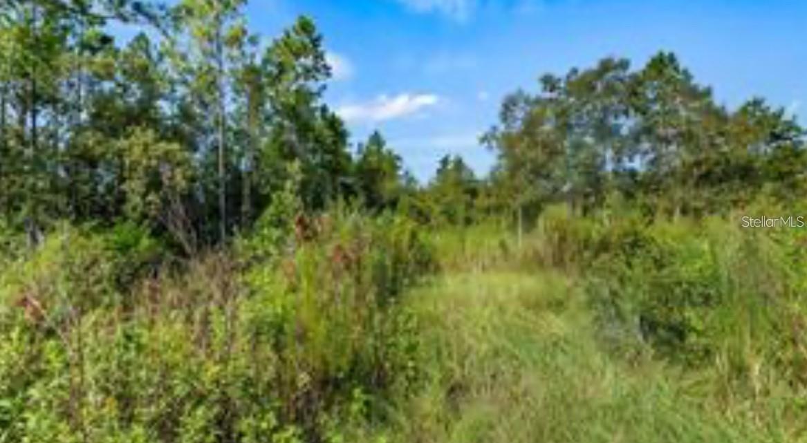 Oil Well Rd Property Photo 5