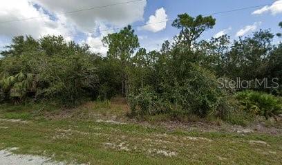 27182 Mandalay Dr Property Photo 3