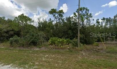 27182 Mandalay Dr Property Photo 4
