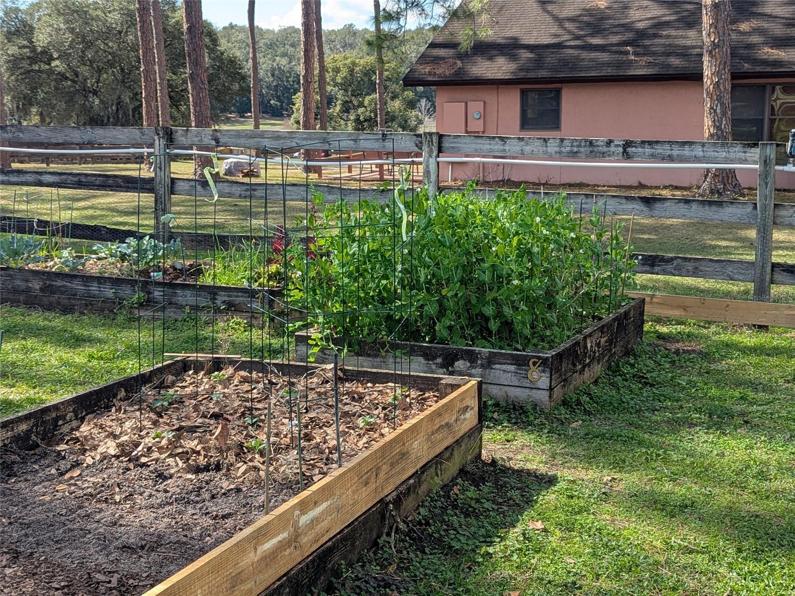Property Photo 47