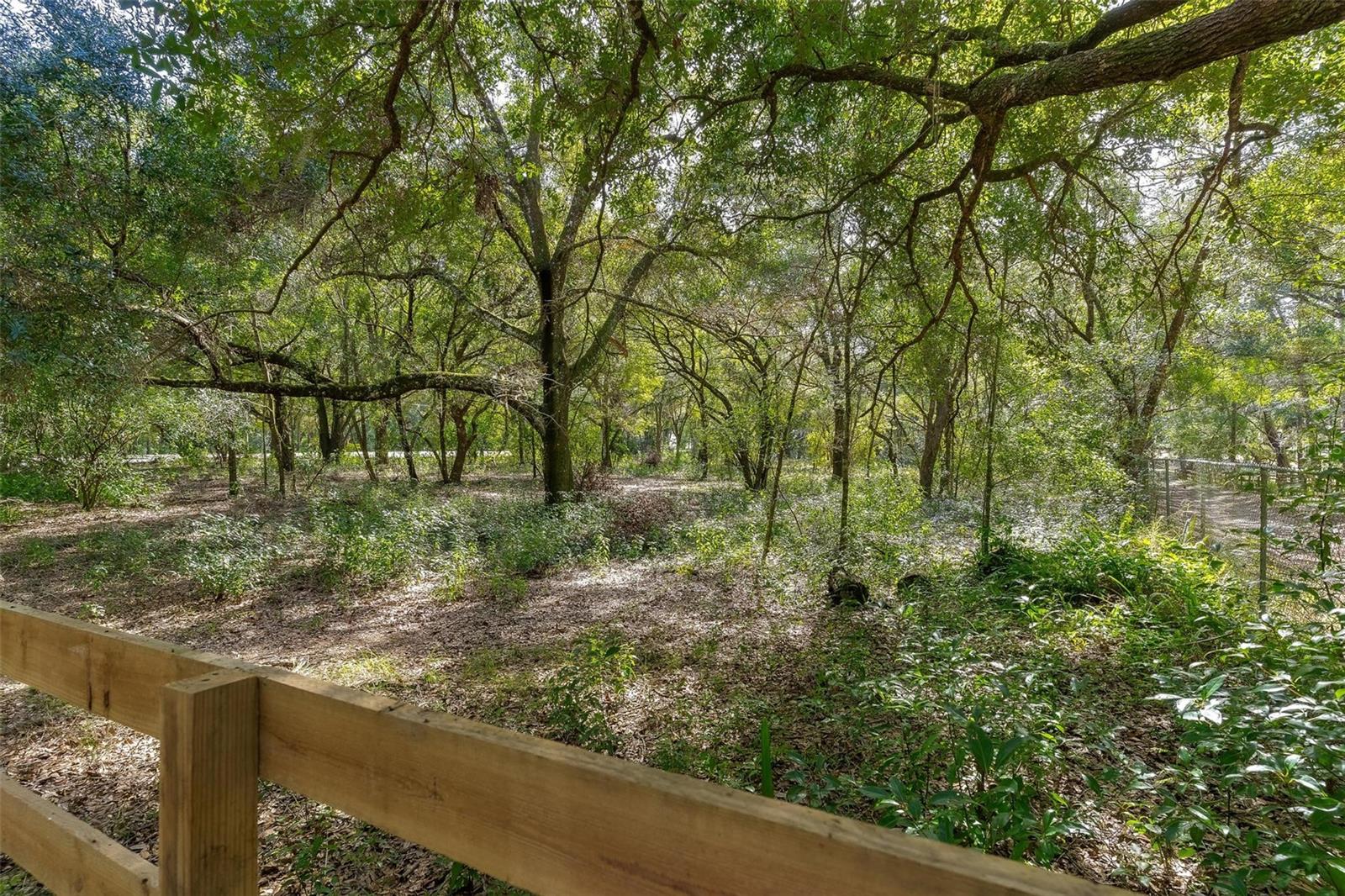 Property Photo 51