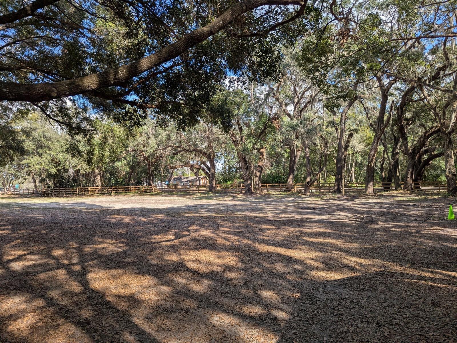 Property Photo 61