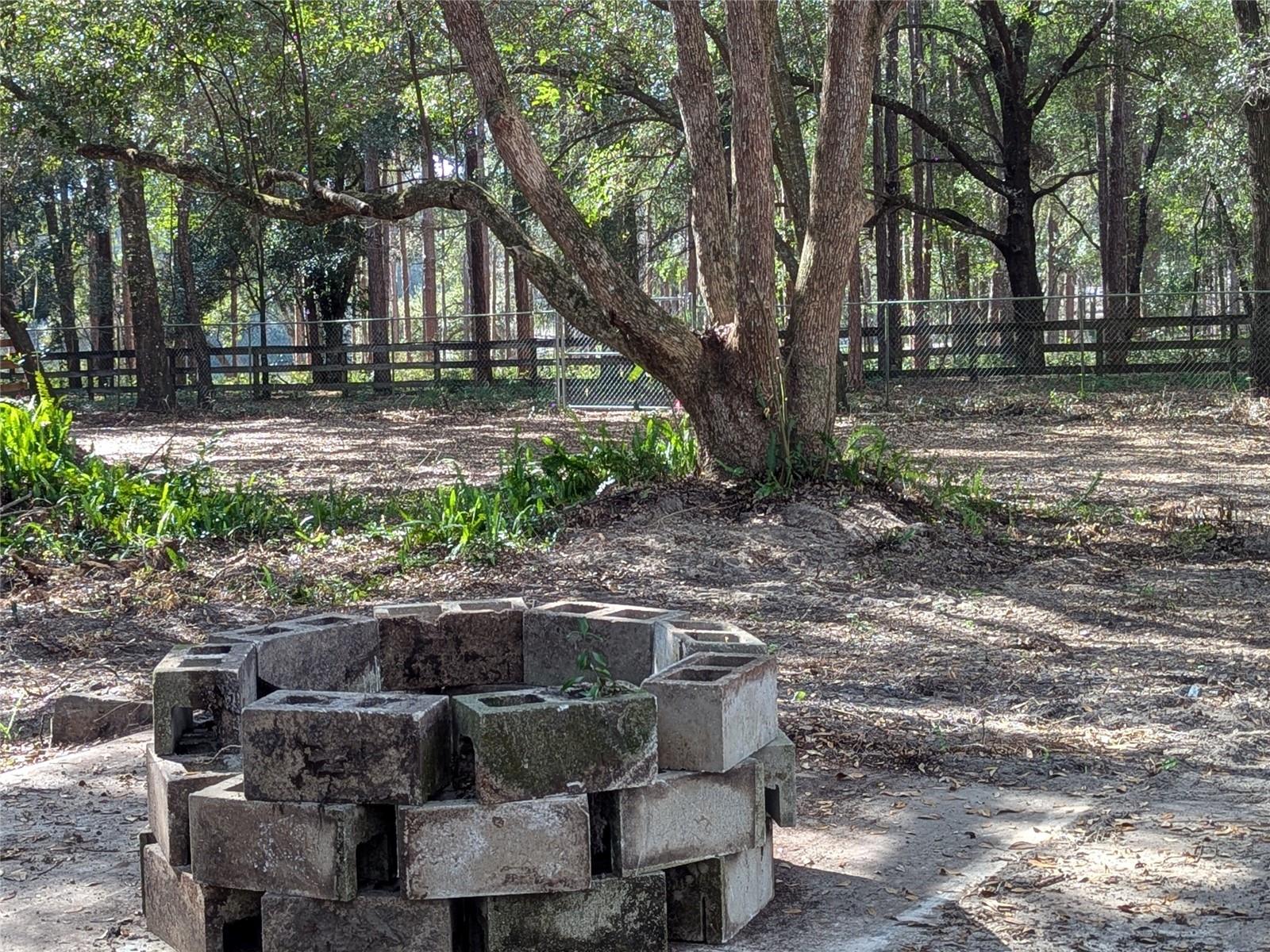 Property Photo 64