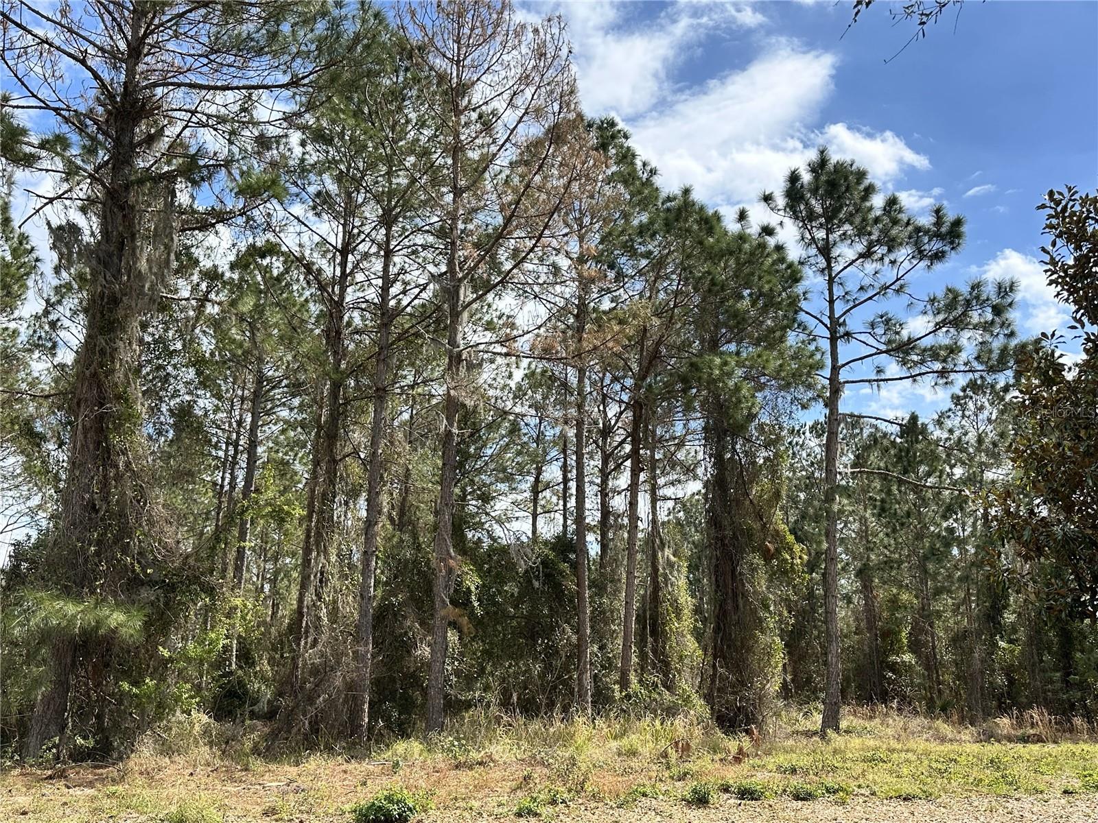 17027 Crete Way Property Photo