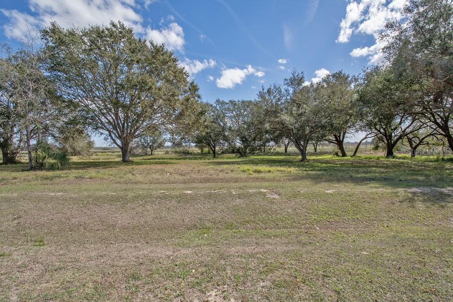 Royal Palm Dr Property Photo 3