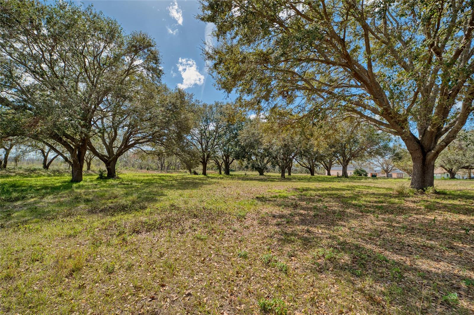 Royal Palm Dr Property Photo 4