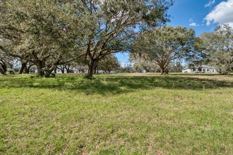Royal Palm Dr Property Photo 5