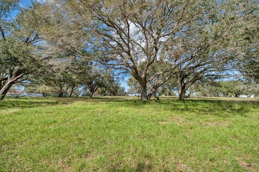 Royal Palm Dr Property Photo 6