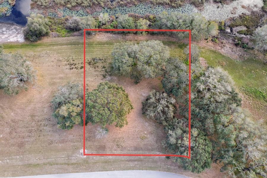 Royal Palm Dr Property Photo 8