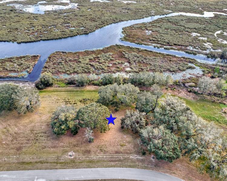 Royal Palm Dr Property Photo 10