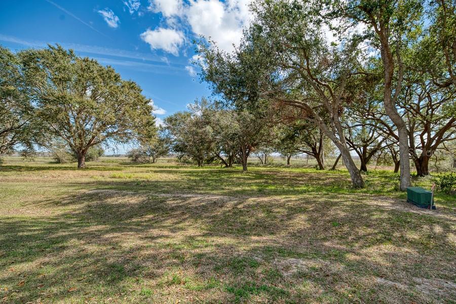 Royal Palm Dr Property Photo 12