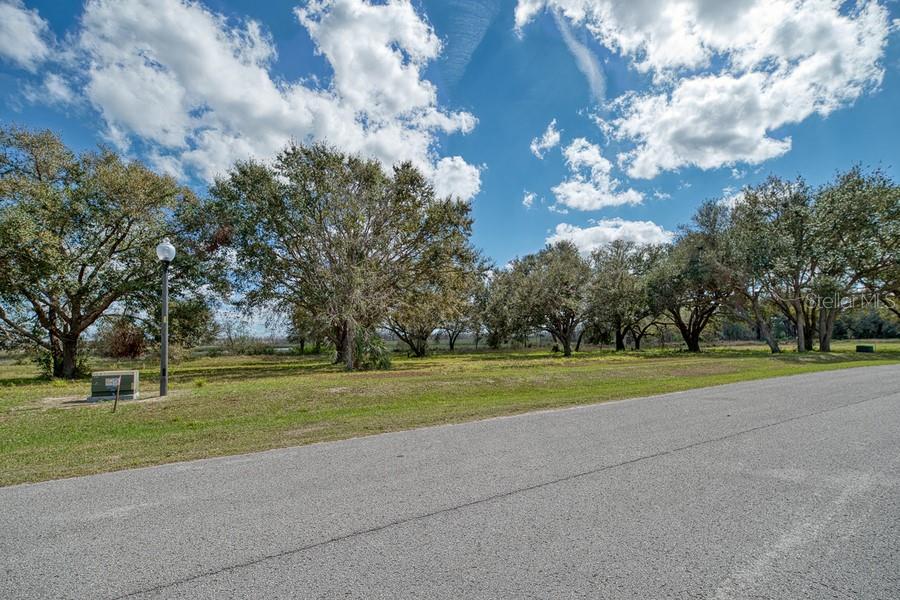 Royal Palm Dr Property Photo 13