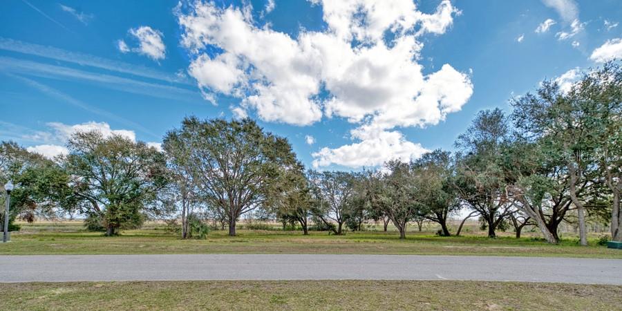 Royal Palm Dr Property Photo 14