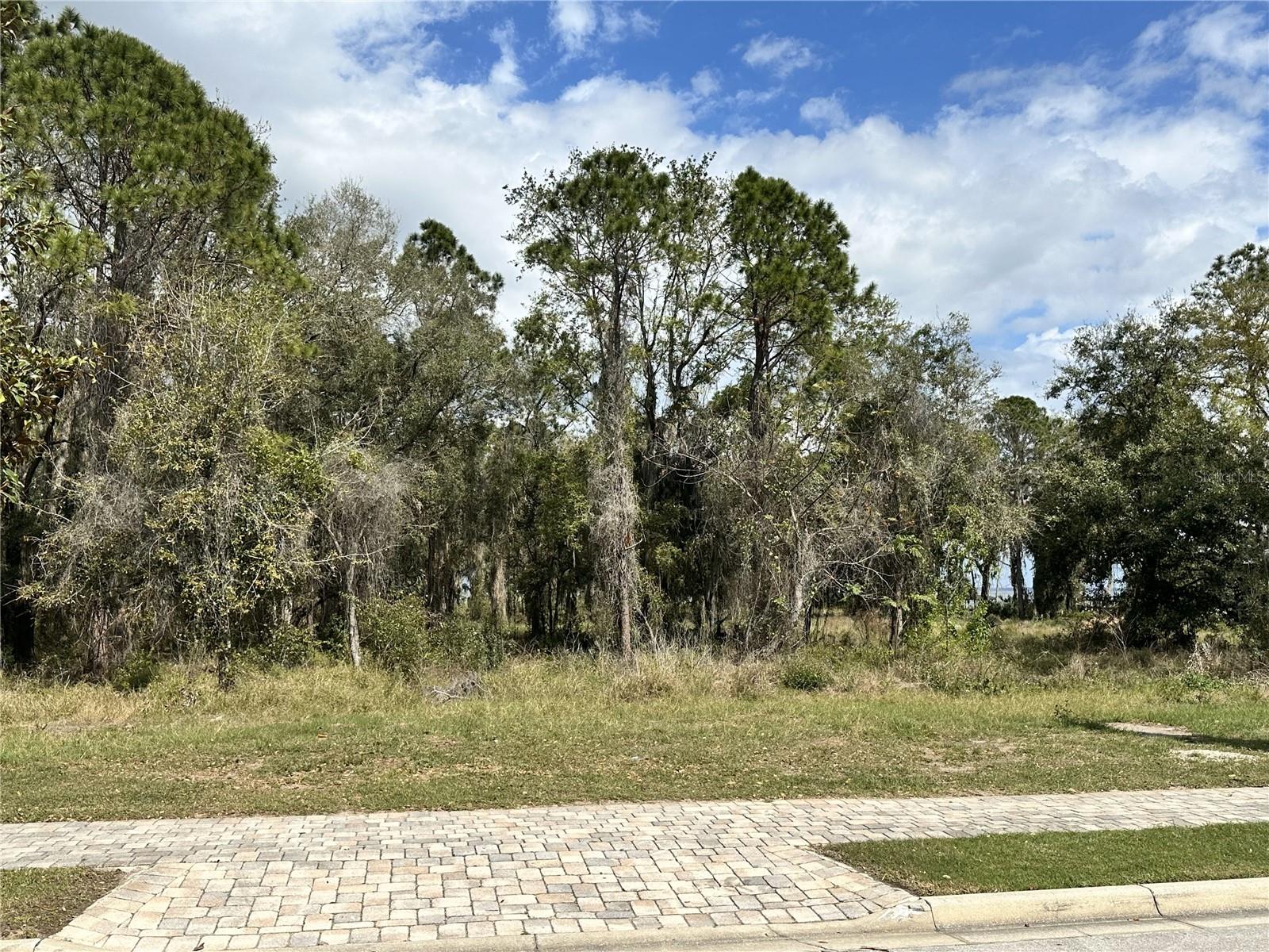 17233 Etruscan Ln Property Photo
