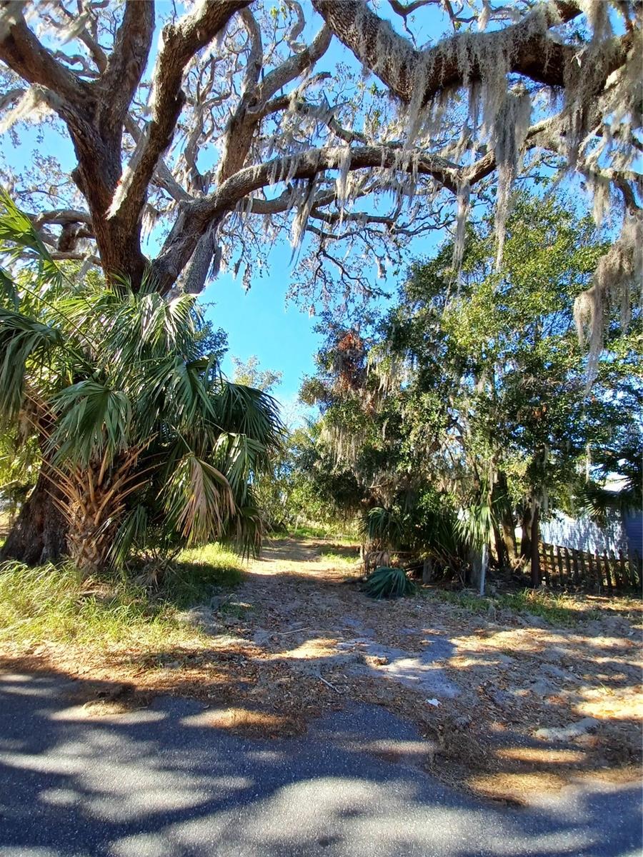 Mike St Property Photo 7