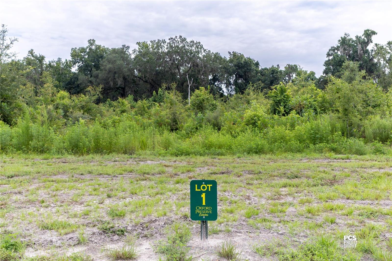 1480 OXFORD PRESERVE TRL Property Photo 1
