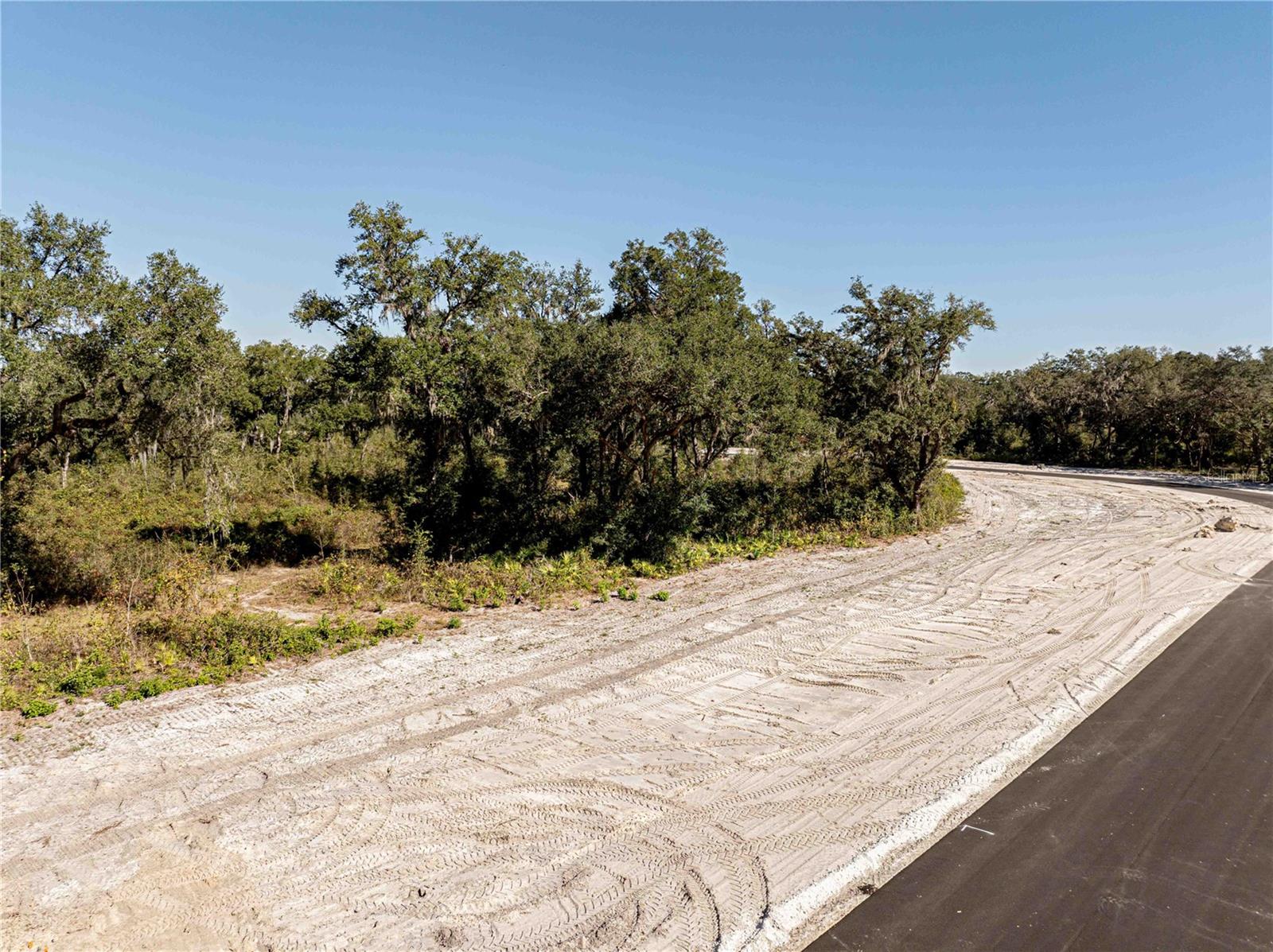 1480 Oxford Preserve Trl Property Photo 16