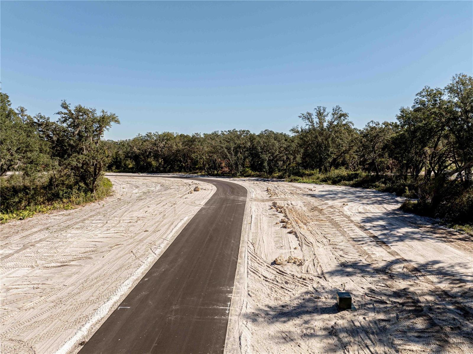 1485 Oxford Preserve Trl Property Photo 14