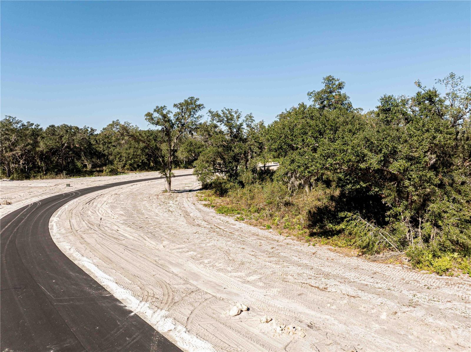 1485 Oxford Preserve Trl Property Photo 15