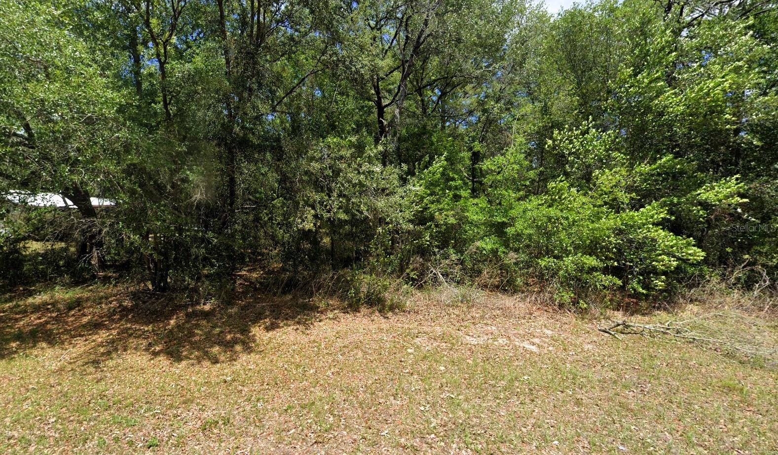 2781 W Mystery Ln Property Photo