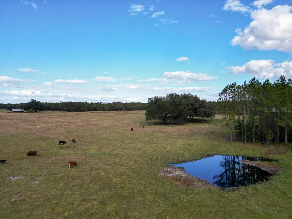 993 Cr 722 Property Photo 76