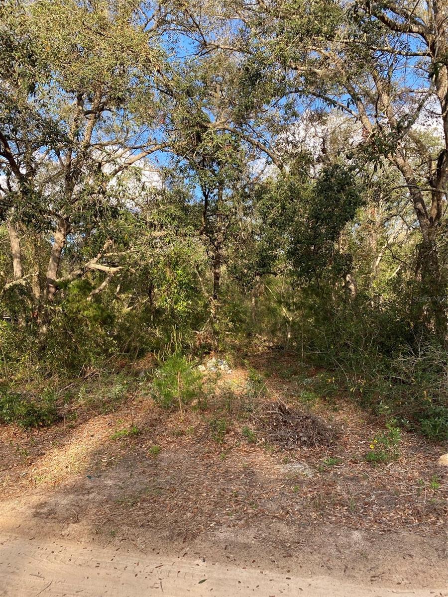 Dogwood Way Property Photo 1