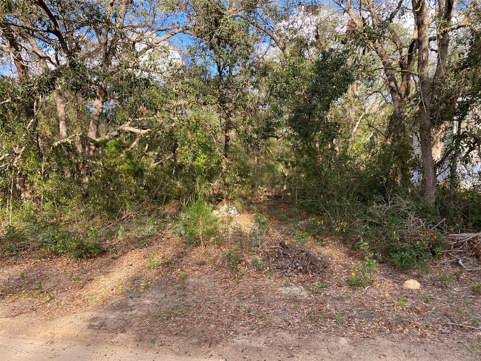 Dogwood Way Property Photo 2