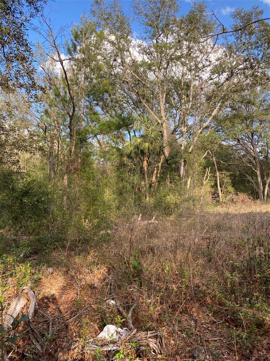 Dogwood Way Property Photo 5