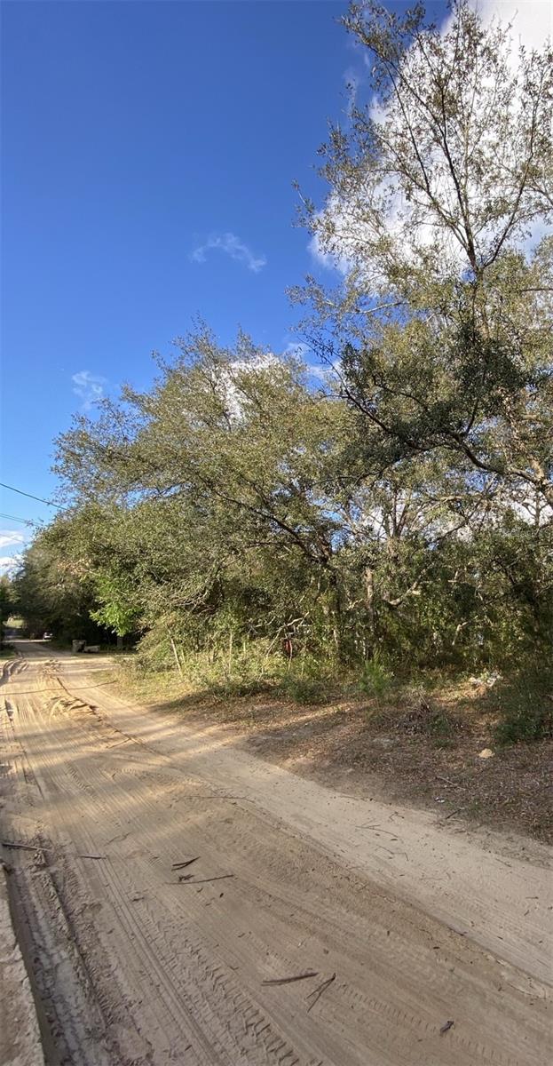 Dogwood Way Property Photo 6