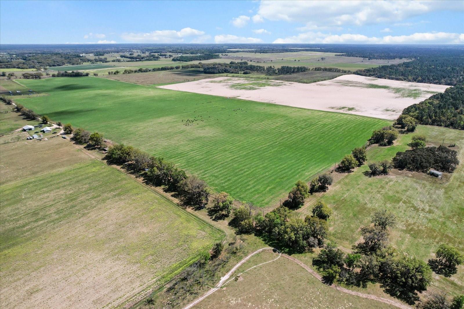 (190 Ac-see Addt'l Pid's) Nw 225th Ave Property Photo