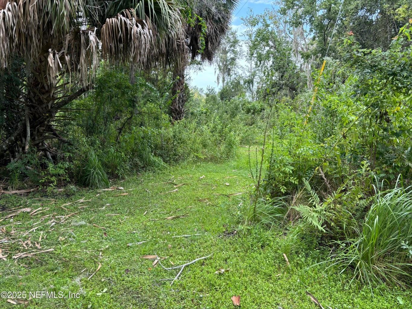 6001 Bird Island Dr Property Photo 22