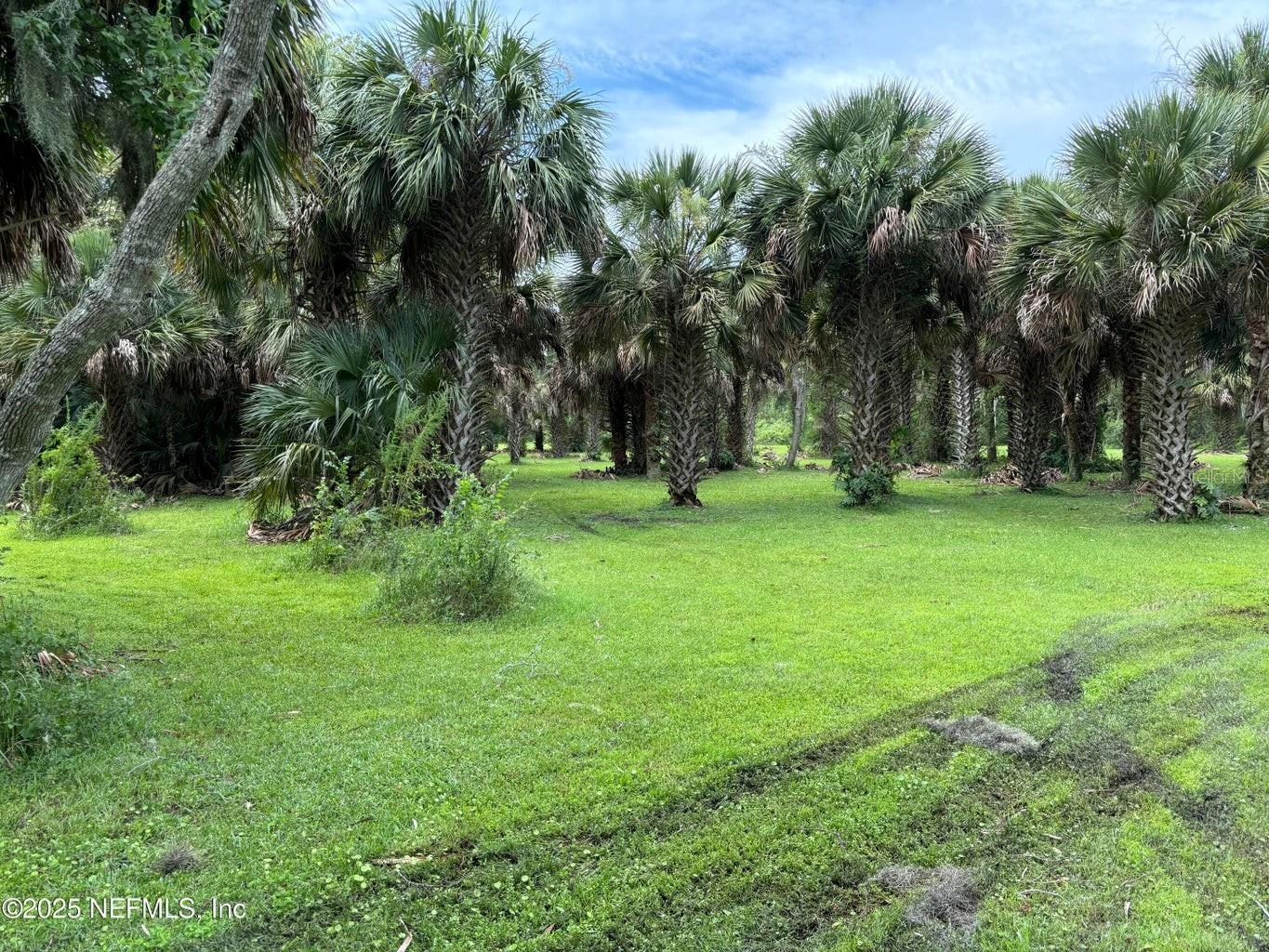 6001 Bird Island Dr Property Photo 25