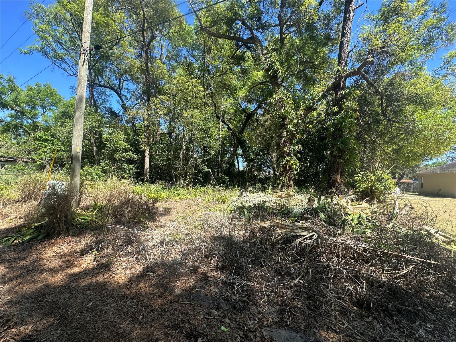 Highland Park Blvd Property Photo