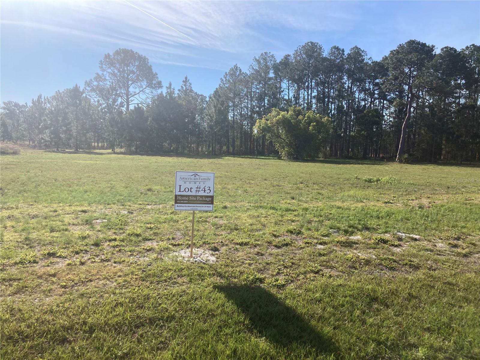 38518 Wooded Meadow Dr Property Photo 1