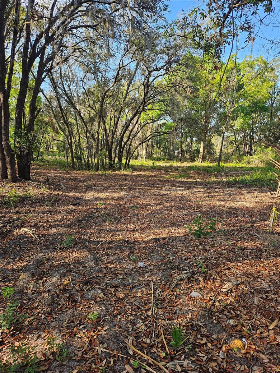 22160 Obrien Rd Property Photo
